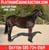 Horse ad