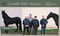 Horse ad