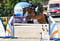 Anuncio de caballos