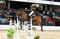 Annuncio cavallo
