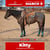 Horse ad