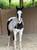 Horse ad