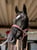 Horse ad