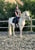 Annuncio cavallo