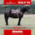 Annuncio cavallo