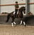 Horse ad