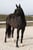 Horse ad