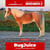 Paardadvertentie
