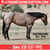 Horse ad