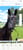 Horse ad