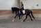 Horse ad
