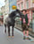 Anuncio de caballos