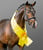Annonce cheval