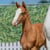 Horse ad