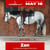 Horse ad