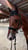 Horse ad
