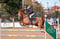 Horse ad