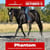 Paardadvertentie