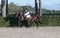 Horse ad