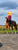 Horse ad