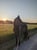 Horse ad