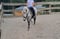 Horse ad