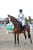 Anuncio de caballos