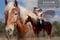 Annuncio cavallo