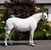 Annuncio cavallo