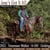 Horse ad