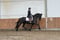 Annuncio cavallo