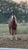 Horse ad