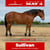 Horse ad