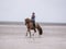 Horse ad