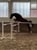 Horse ad