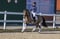 Horse ad