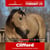 Horse ad