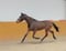 Horse ad