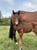 Horse ad