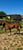 Annuncio cavallo