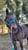 Horse ad