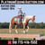 Annuncio cavallo