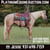 Annonce cheval