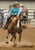 Horse ad