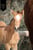 Annuncio cavallo