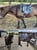 Horse ad