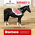 Horse ad