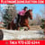 Anuncio de caballos