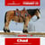Horse ad