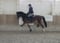 Horse ad